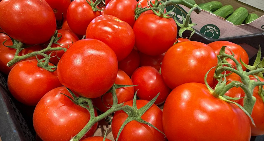 1 ложка — и томатов нарастает тонна: будут крупные, массивными кистями, завалят урожаем. Самая эффективная натуральная подкормка