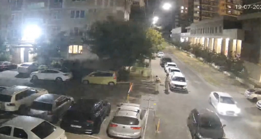 «31 секунда на дерево»: новороссийцы возмущены формальной обработкой зеленых насаждений в городе