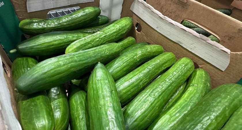 Огурцы на зиму готовлю только так. Даже рассола не остается. Это самые хрустящие огурчики - все молят поделиться рецептом