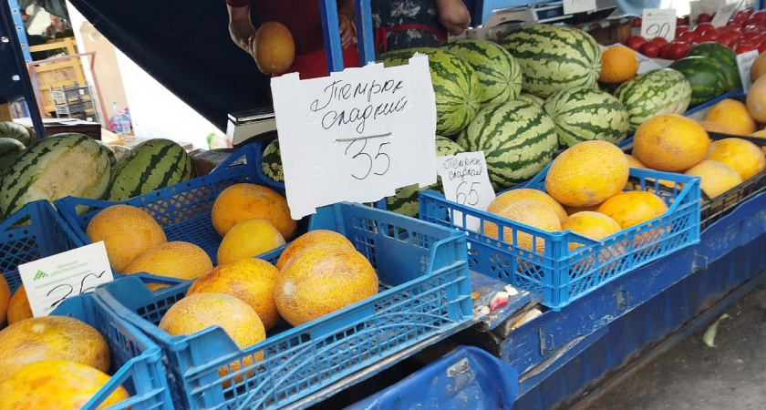 В Новороссийске начался сезон местных арбузов: сколько стоят полосатые ягоды в этом году