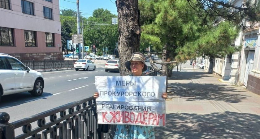 «Примите меры к живодерам!»: в Новороссийске прошел одиночный пикет у здания прокуратуры