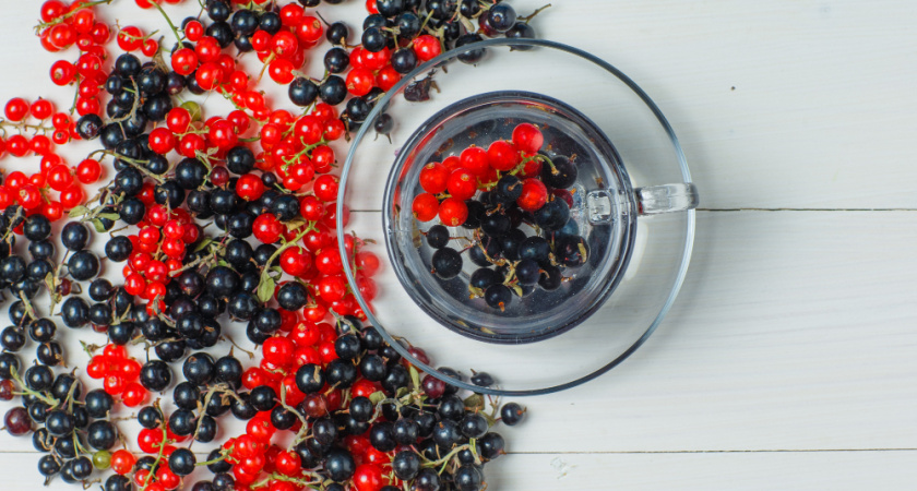 Воткнула под смородину — вся тля испарилась за 1 день: даже обрабатывать не нужно — листья чистыми будут всё лето