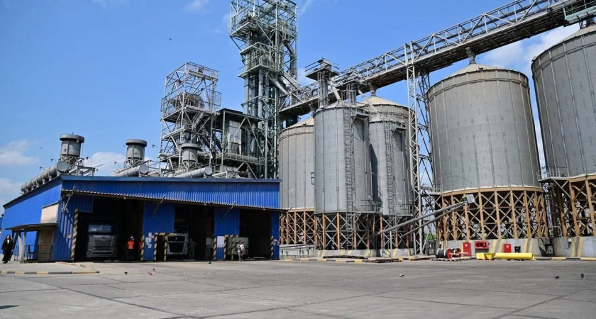 Через четыре года объем перевалки зерна через Новороссийск вырастит почти в два раза и составит 13 миллионов тонн