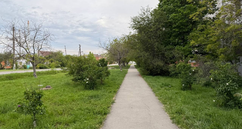 Август подложит свинью: Гидрометцентр прогнозирует адский август