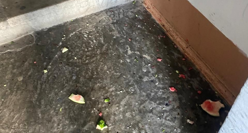 Детишки развлекаются: в Новороссийске подростки сбросили арбуз с 13-го этажа прямо в подъезде