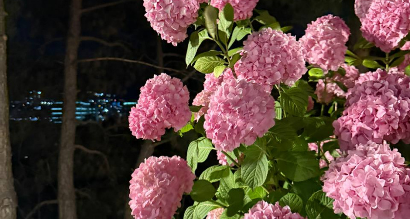 "К нам приближается волна холода": погода в конце недели заставит тепло одеться, температура резко упадет