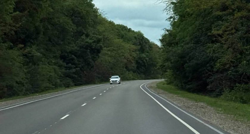 В августе это заставят сделать каждого водителя. Иначе лишат прав на полгода