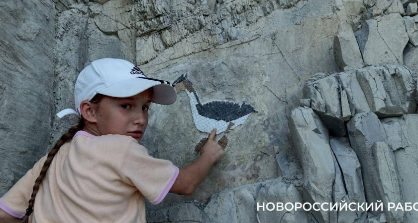 Чомга и дельфин поселились на скалах в Южной Озереевке под Новороссийском