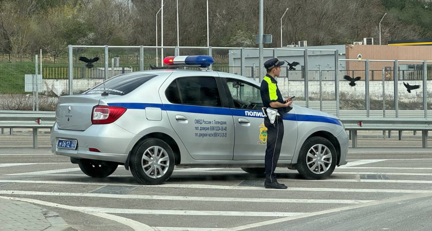 Полный список ГАИ: у всех водителей отнимут права в августе, если найдут такие предметы в багажнике