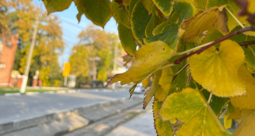 Бабье лето-2025: синоптики указали точные даты и продолжительность летнего тепла