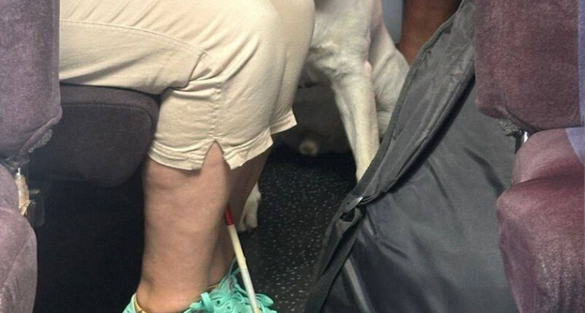 Водитель маршрутки в Новороссийске обматерил слабовидящую женщину, потому что не хотел брать в салон собаку-поводыря