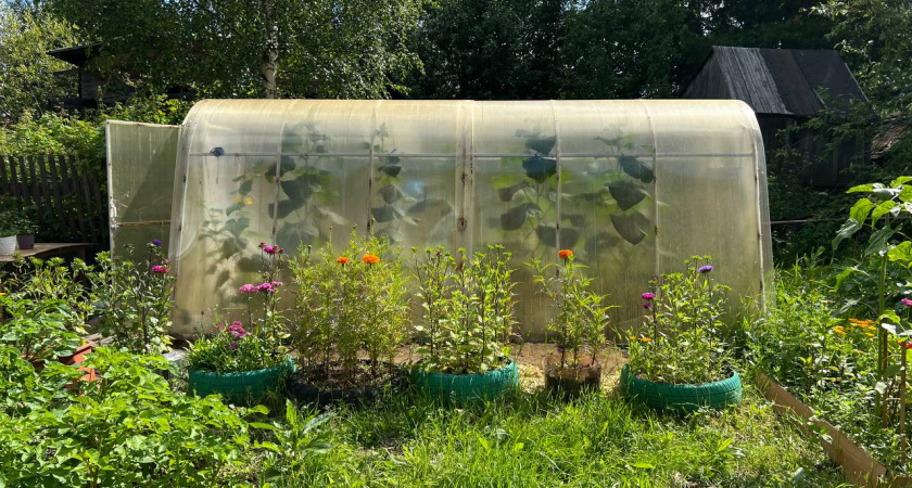 3 ложки на кучу — перегниют даже толстые ветки: как правильно приготовить компост за один сезон — рецепт от агронома