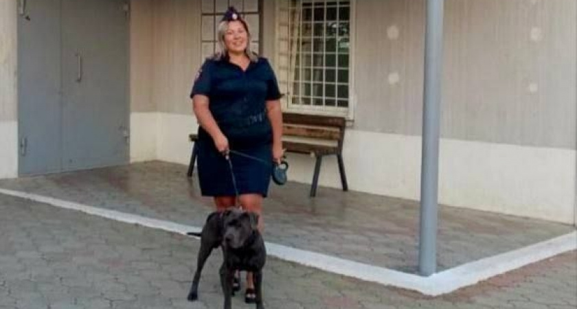 Добрая история: в Туапсе полицейские помогли грустному псу дождаться своего хозяина из больницы