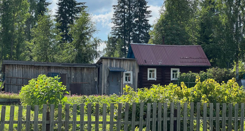 Забудьте про прополку навсегда: отвар агронома Давыдовой уничтожает сорняки лучше, чем любой гербицид