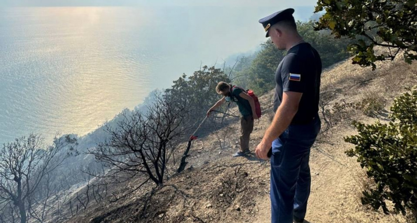 Под Анапой полыхает лес на площади 7,3 гектара: для тушения пожара привлечен вертолет