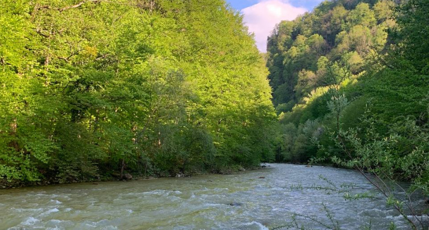 Сентябрь и октябрь будут непривычными: синоптики сказали, к чему готовиться
