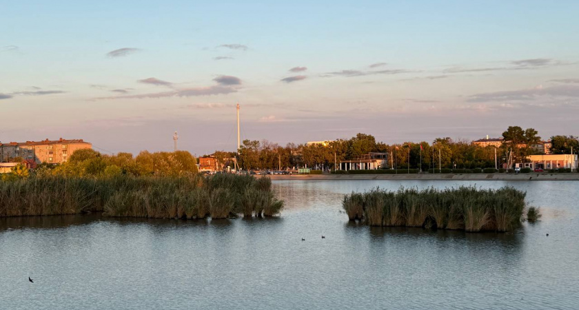 До +36 °C и сильный ветер прогнозируют синоптики на Кубани 30 августа В Краснодарском крае 30 августа ожидается жаркая и сухая погода с пор