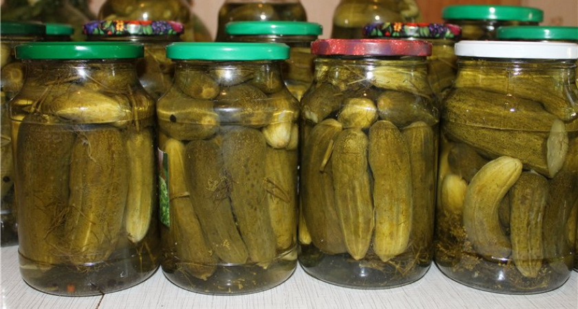 Хрустящие, как в детстве: волшебные огурцы из банки, которые не нуждаются в погребе