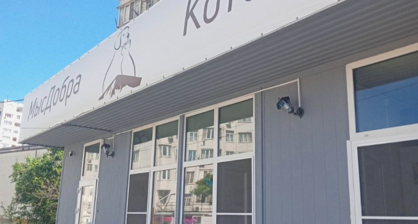 В Новороссийске умерла хозяйка приюта «Мыс добра»: 90 кошек и одна собака рискуют оказаться на улице