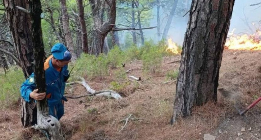 Ограничения не пребывание в лесах в окрестностях Новороссийска продлены до 19 сентября