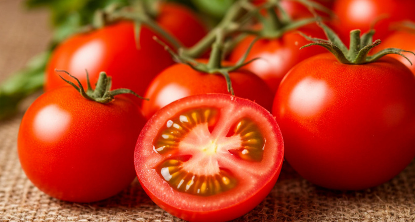 Как правильно собрать семена томатов: советы опытного эксперта