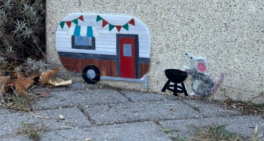 В парке Фрунзе Новороссийска поселилась мышь-путешественница   