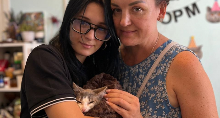 Новороссийцы забрали в семью 60 котов из приюта «Мыс добра», чья хозяйка недавно умерла