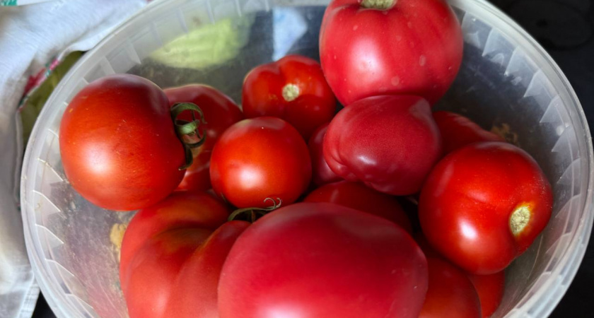 Опасный дуэт: с какими продуктами никогда нельзя есть помидоры - так вы только навредите себе