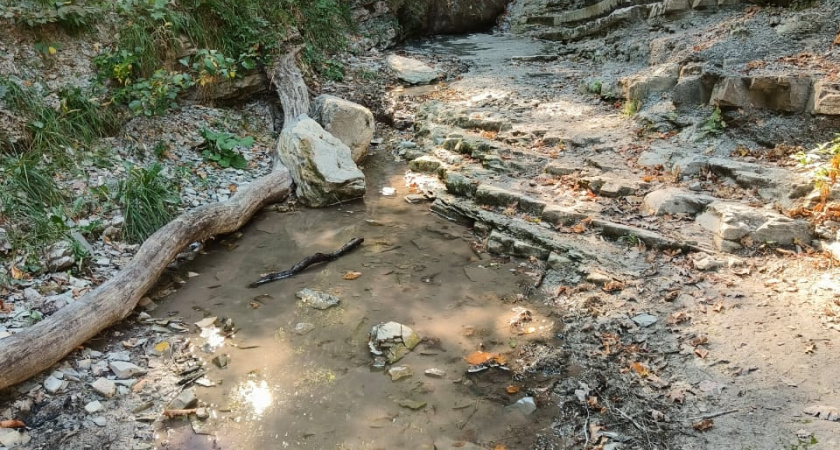 Фекалий не обнаружено: экологи проверили состояние Луначарских водопадов в Новороссийске
