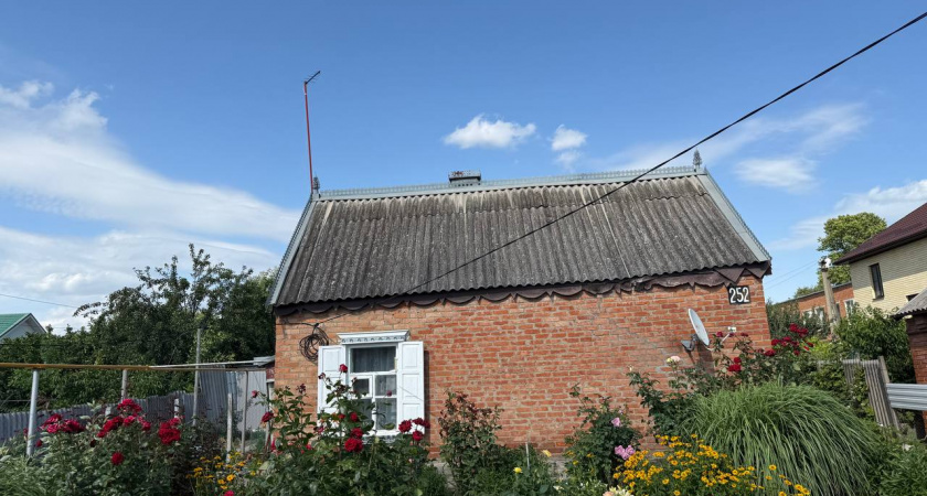 Заплатите 3 тысячи за ветки и траву: жителей России начали поголовно штрафовать за облагораживание своего участка