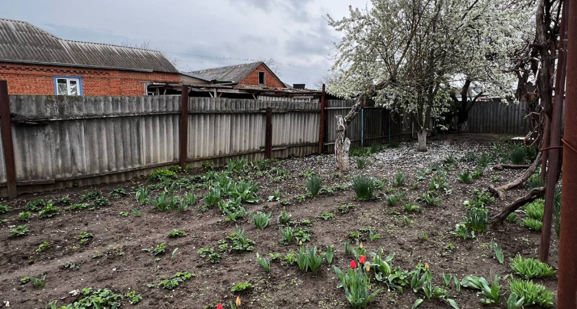 Синоптики назвали роковую дату: что произойдет с урожаем сразу после 15 сентября