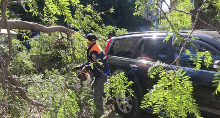 В Новороссийске ветер повалил деревья, осложнил тушение пожара и повредил автомобили