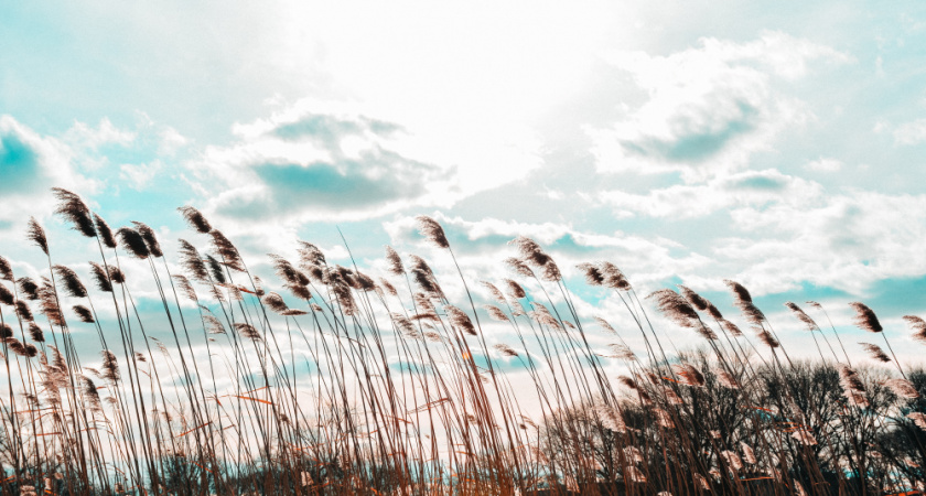 Ветер усиливается: какая погода ждет Кубань в начале недели