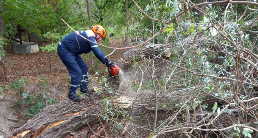 Под Новороссийском спасатели распили дерево, рухнувшее в русло реки