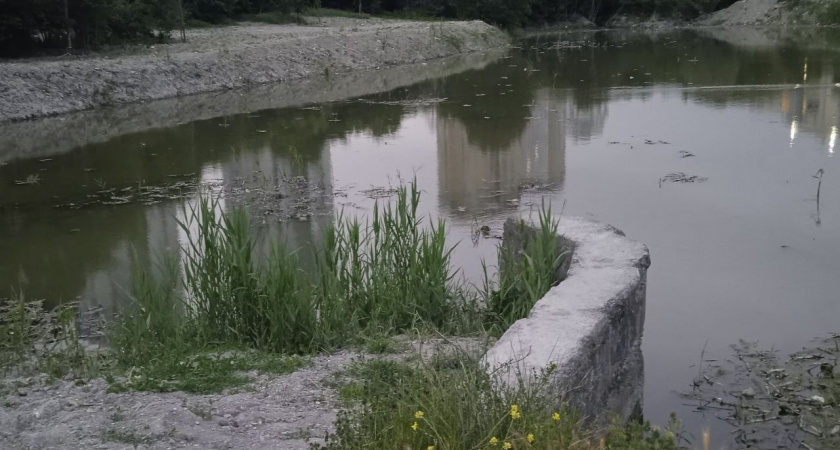 Южные пруды в Новороссийске скоро превратятся в топкое болото: ил вывезут с заповедной территории не раньше конца октября