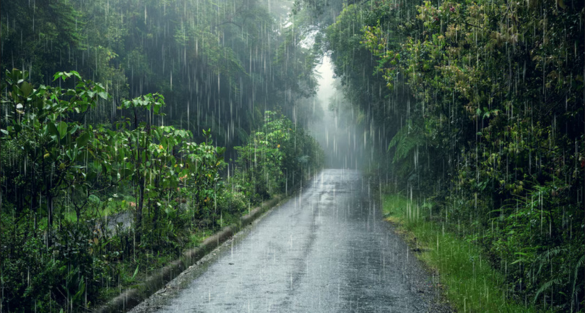На Краснодарский край надвигаются грозы и сильные дожди