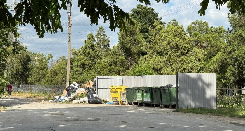 Много вещей вывезла на свалку, чтобы не отдавать бесплатно. Почему я больше не отдаю даром