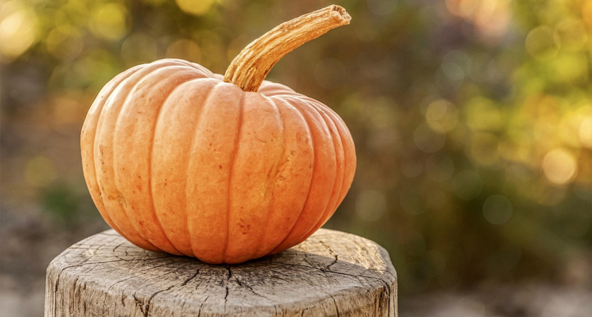 Что лучше всего приготовить из тыквы: три простых рецепта и советы по выбору