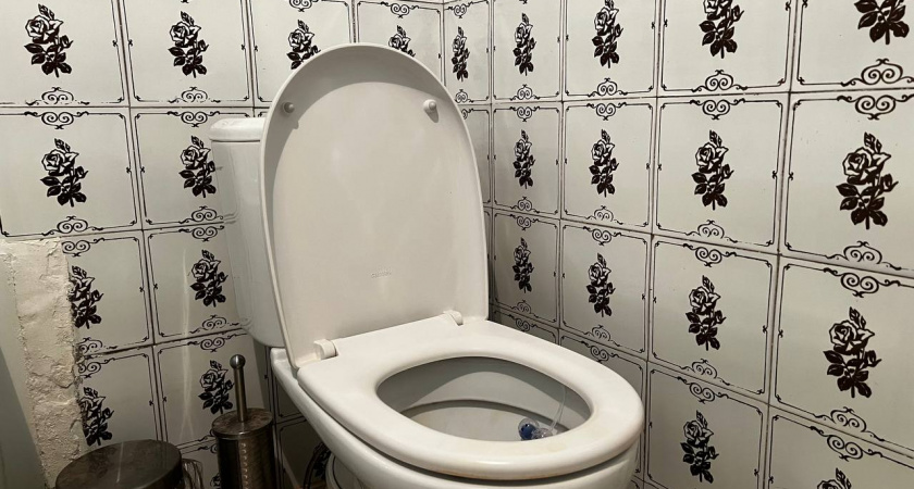 Что на самом деле происходит в вашей ванной каждый раз, когда вы забываете закрыть крышку унитаза