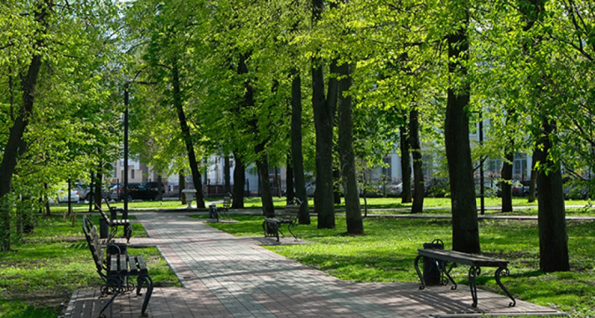 Под Новороссийском благоустроят сквер: местных жителей зовут обсудить проект