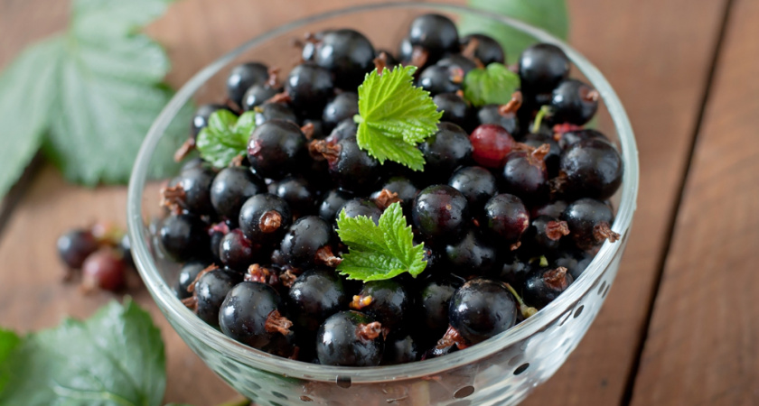 Заливаю настой под кусты в сентябре — и ягоды следующим летом в два раза крупнее: рабочий совет от бабушки-огородницы