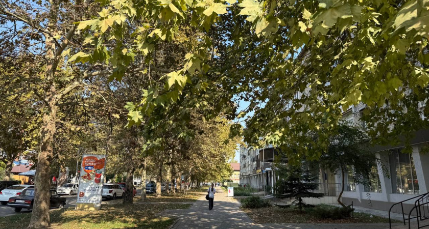 Ветер, дожди и похолодание до +22 °C прогнозируют на Кубани 27 сентября