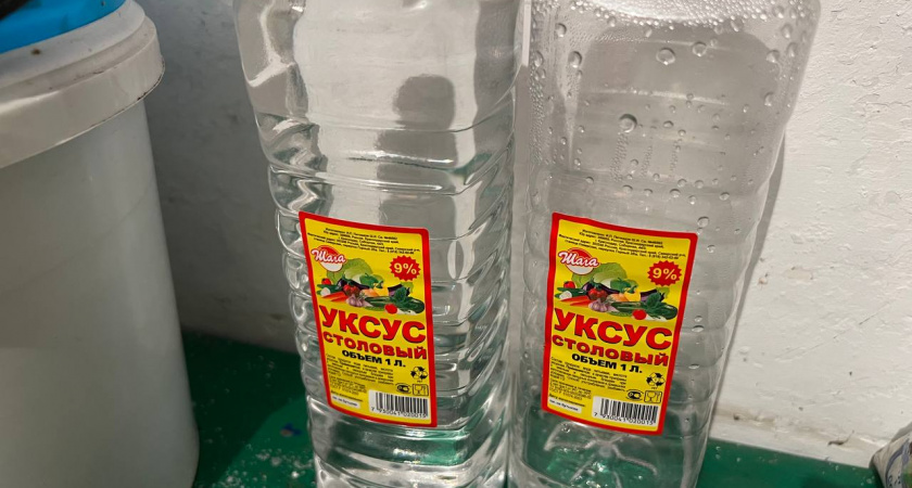 С первым снегом всегда покупаю 3 л уксуса — и не мучаюсь, как городские: подсказал старичок из деревни — дома спокойно всю зиму