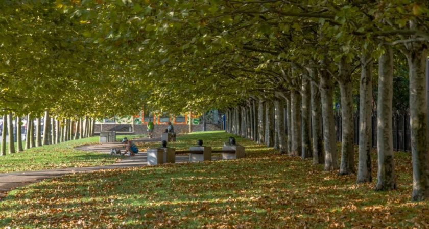 Вот это новость! Новороссийск занял второе место среди самых зеленых городов России