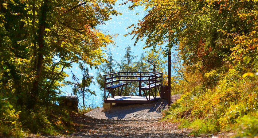Золотая осень - полное погружение: ТОП-6 локаций для улетных фотосессий на природе в Новороссийске и окрестностях