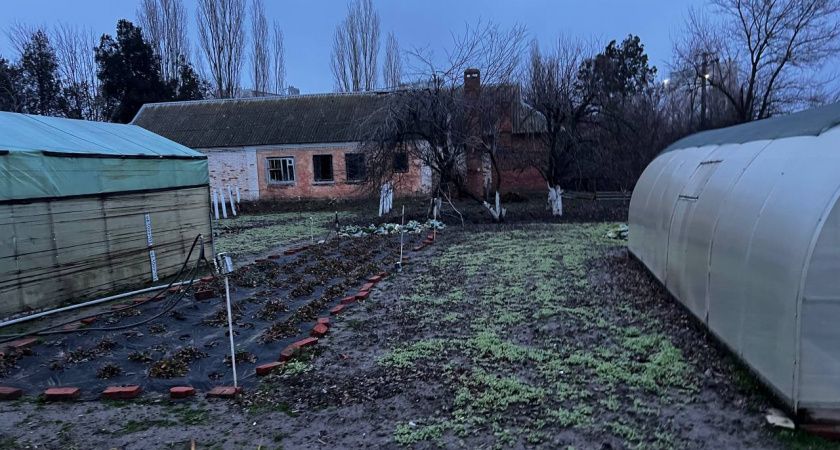 Не только лук и чеснок: Что ещё можно посеять под зиму - добавляйте список в "сохранёнки" 