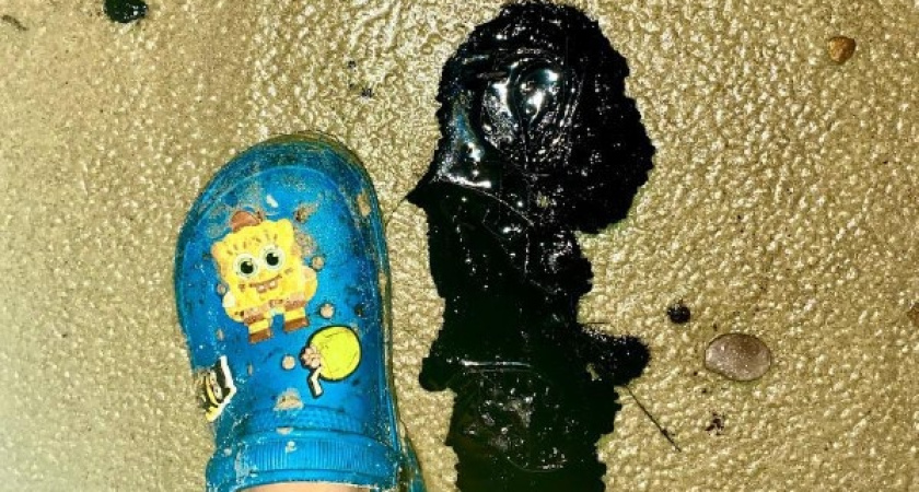 Эхо нефтяной катастрофы: в Темрюкском районе замечены свежие выбросы мазута и испачканные птицы