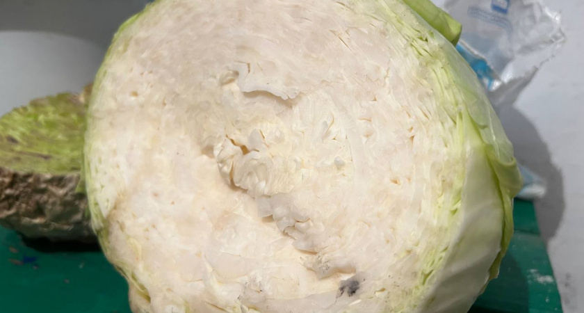 Самые простые и вкусные рецепты квашенных овощей: ассорти, фаршированные перцы и капуста