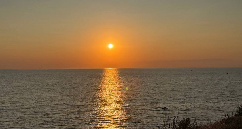 "Злые люди, змеи, грязь и невкусная еда": туристы делятся своим жутким разочарованием от визита в Абхазию