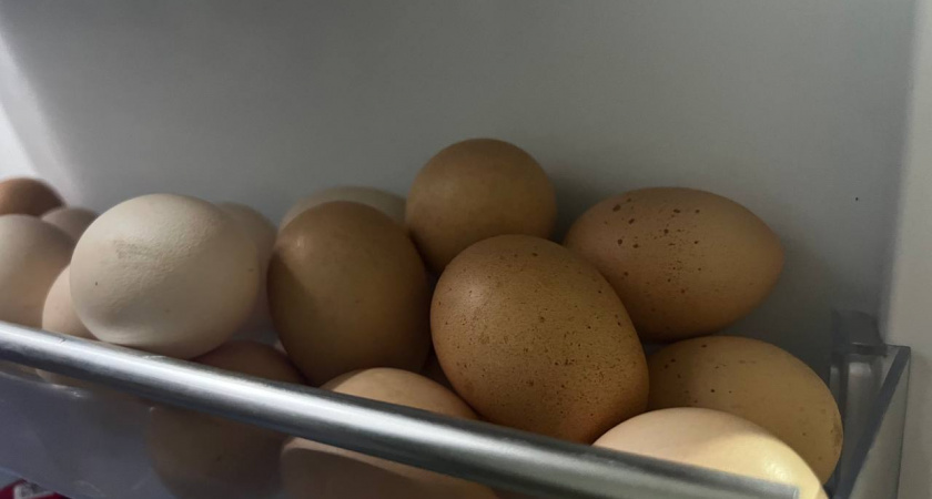 Какие продукты нельзя есть вместе с яйцами: запомните это правило их раз и навсегда